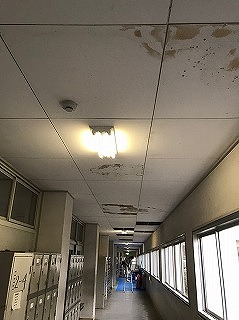 大阪府立高校　廊下天井張替え工事　公共工事